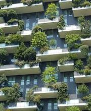 Bislimi Gartenbau AG Bild 3