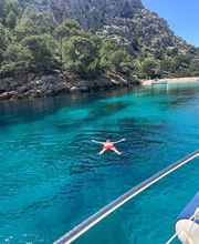 Smart Charter Mobility imagen 2