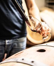 Weingut Hubertus M. Apel Bild 14