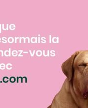 Clinique Vétérinaire Agoria image 1