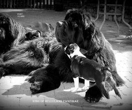 Sandrine Le Rest image 12