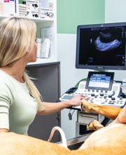 Kleintierklinik am See Bild 5