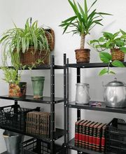 Escuela Trinel imagen 9