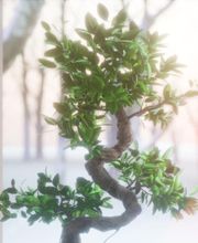 LB Studio 3D image 8