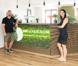 Physiotherapie & Osteopathie Marco Westergom Bild 2