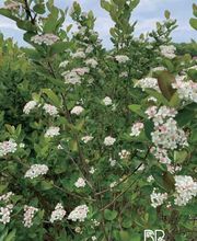 Biohof Beckerwerth Bild 9