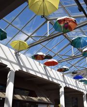 Fromagerie Morin image 12