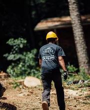 Top Tier Trees image 15