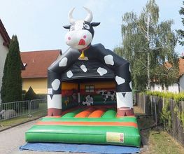 Der Hüpfburgexperte Bild 5