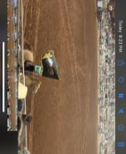 ChiroTrendz Family Chiropractic, Massage and Wellness Center image 13