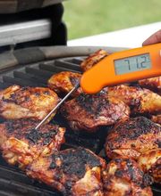 Profi-Thermometer GbR Bild 1