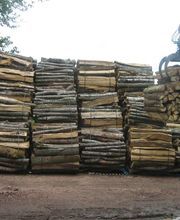 Blanchon Michel image 8