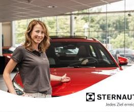 BYD - STERNAUTO Bild 4