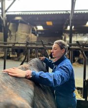 Luana EMINIC HUGO - L'ostéo animaux Bild 12