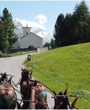 Clalüna-Sils Kutschenfahrten Bild 12