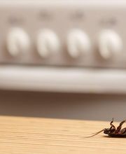 Abando Desinfecciones imagen 5