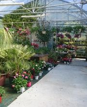 Les Jardins D'Alexandre image 10