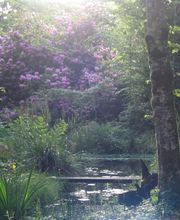 Les Jardins d'Eaux Vives image 1
