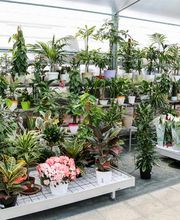 Gallery Professionale