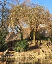 CFA CFPPA Horti-Pôle Evreux image 3
