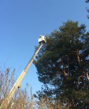 Entretien Tournusien image 17