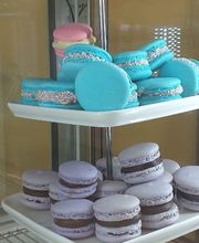 Gallery Cliente