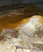 Agence Antiparasitaire Du Bois Pontivy image 6