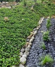 La CLEF d'OR Nettoyage et Conciergerie Sàrl Bild 13