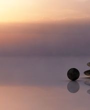 Colas Evelyne image 4