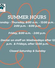 Foothills Animal Clinic image 8