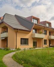 Zybach Holztechnik AG Bild 5