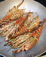 Gallery Professionale