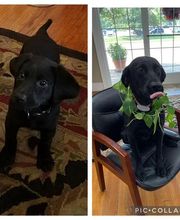 Scott Leming - State Farm Insurance Agent image 1