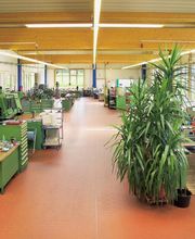 HALLE-1