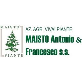 Vivai Maisto Antonio e Francesco logo