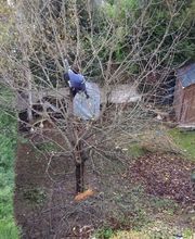 Sur Un Arbre Perché E.I.R.L image 11