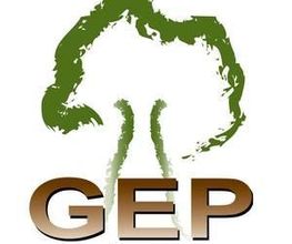 GEP Services image 1