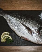 Maison Marc Daubert image 15