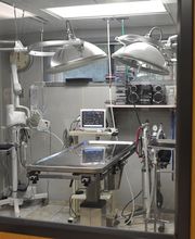 My Pet's Vet image 3