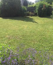 BC Service Élagage image 3