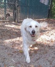 Brentwood Animal Campus image 14