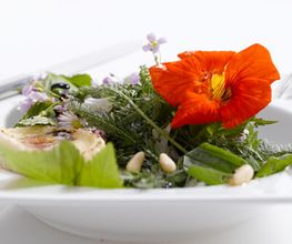 Luchterhand Bio-Catering Bild 3