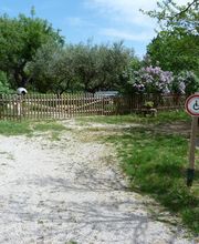 Any d'Avray image 2