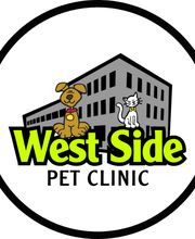 West Side Pet Clinic image 2