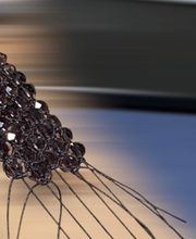 Tóo-lóko imagen 13