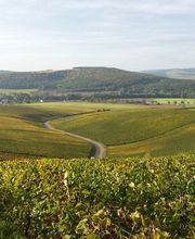 Champagne André Diligent et Fils image 14