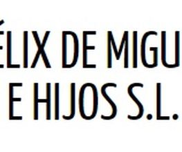 logo_Felix_de_Miguel.jpg