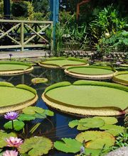 Les Jardins D'Eau image 7