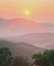 Animal Medical Services image 6