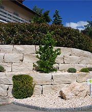 Lägern-Kalksteinbrüche AG Bild 6